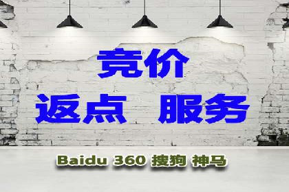 竞价广告在XX行业的成功应用案例